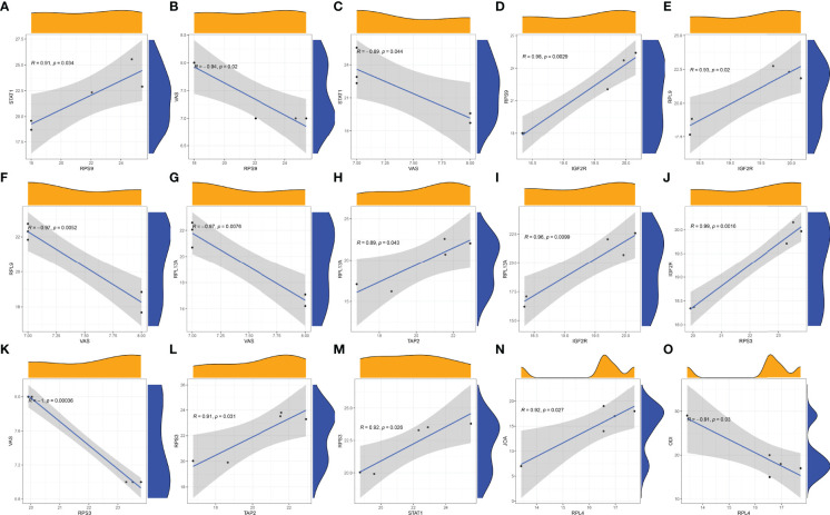 Figure 11