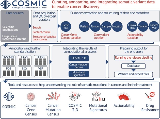 Graphical Abstract