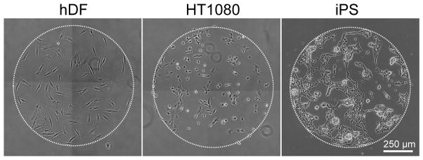 Figure 10