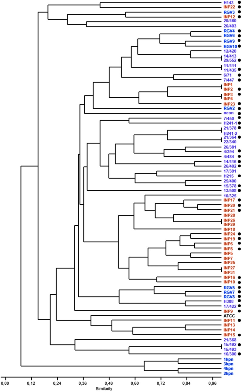 FIG. 1.