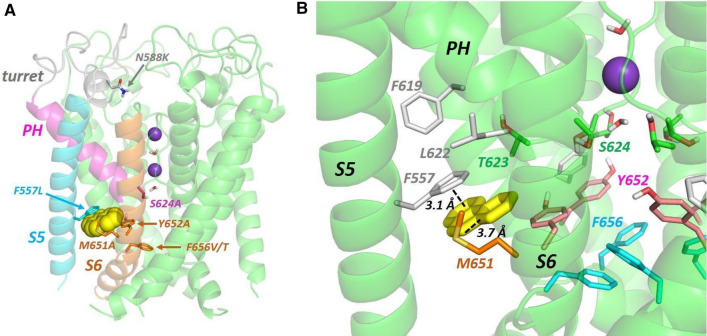 Fig. 6