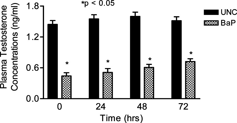 Figure 5: