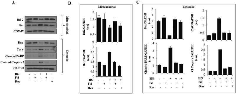 Figure. 3.