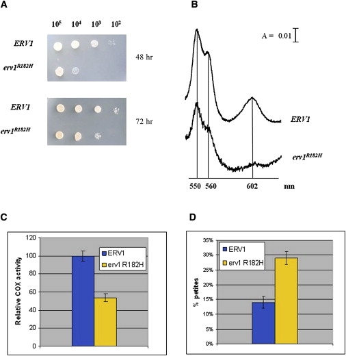 Figure 5