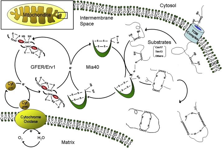 Figure 6