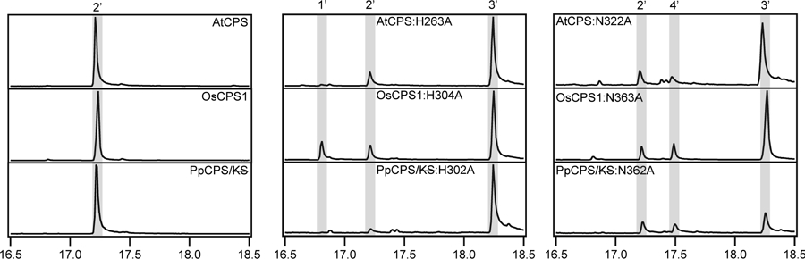 Figure 4: