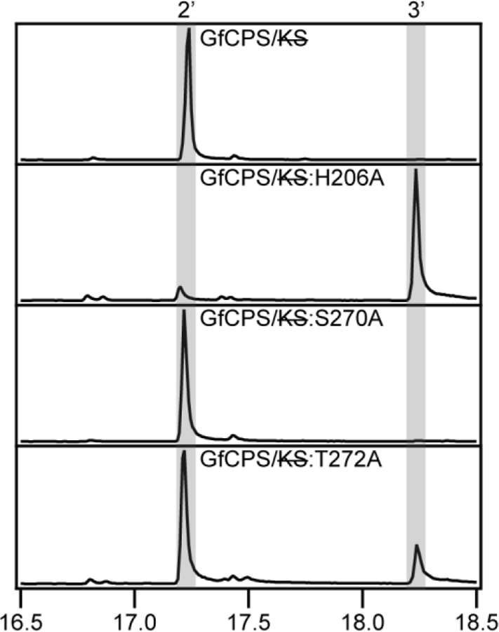 Figure 10: