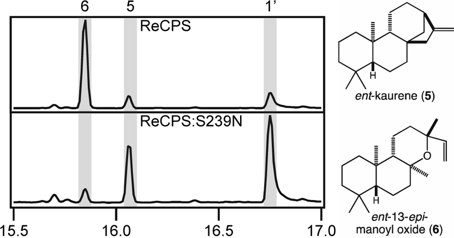 Figure 9: