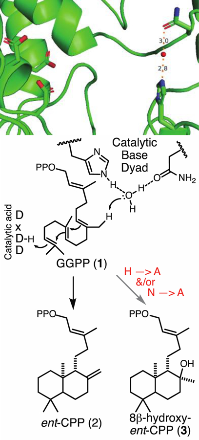 Figure 2: