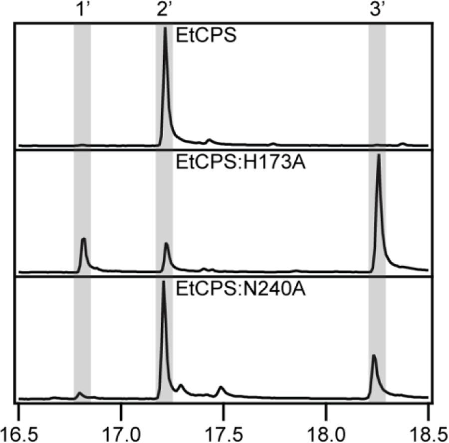 Figure 8: