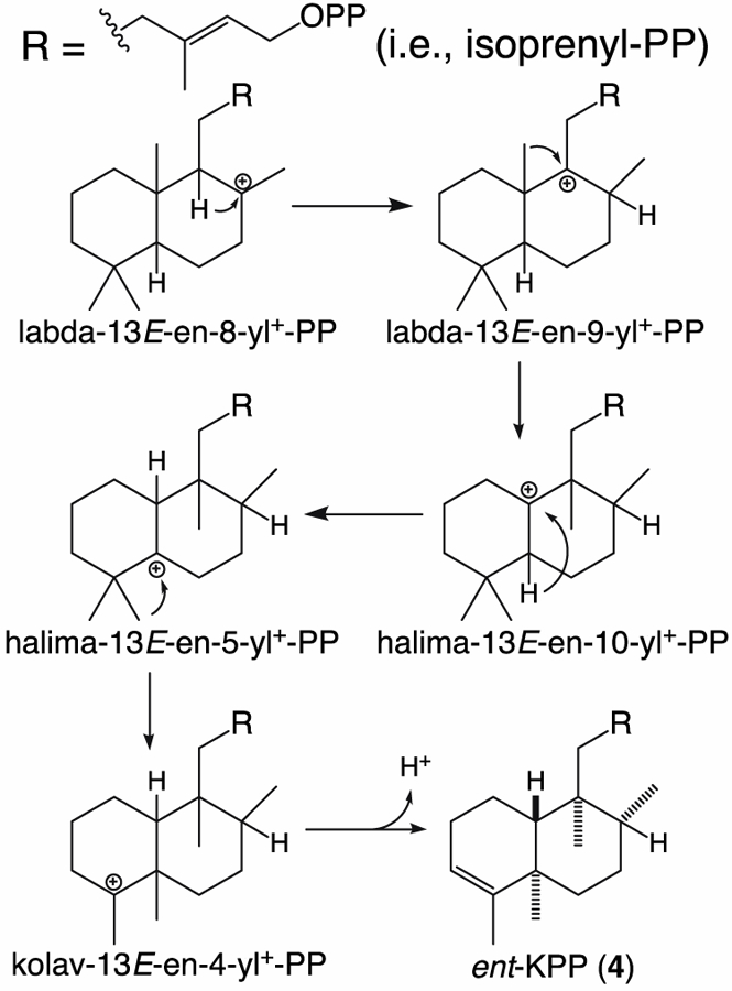 Figure 5: