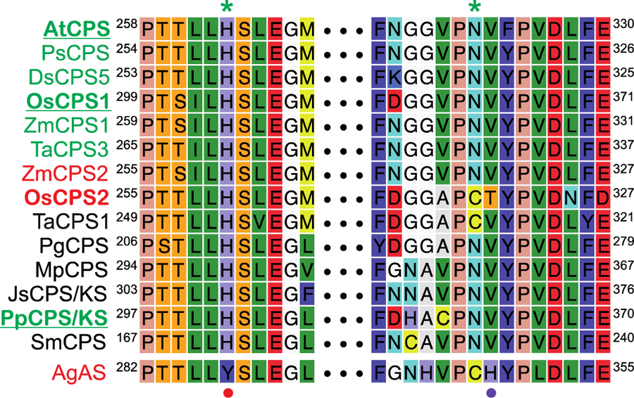 Figure 3: