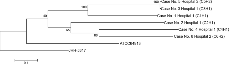 Fig. 1