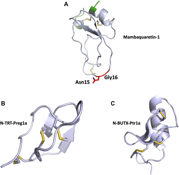 FIGURE 4