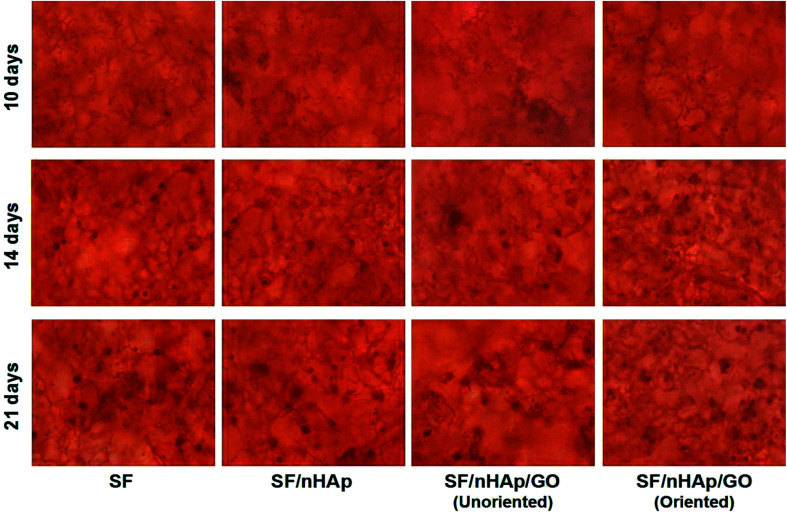 Fig. 10