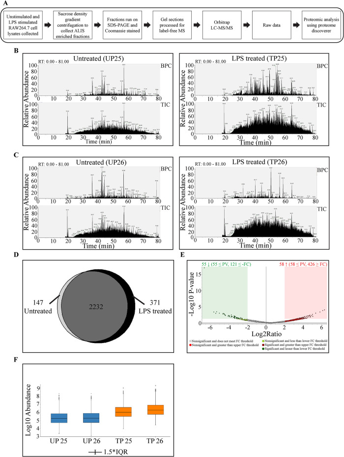 FIGURE 6: