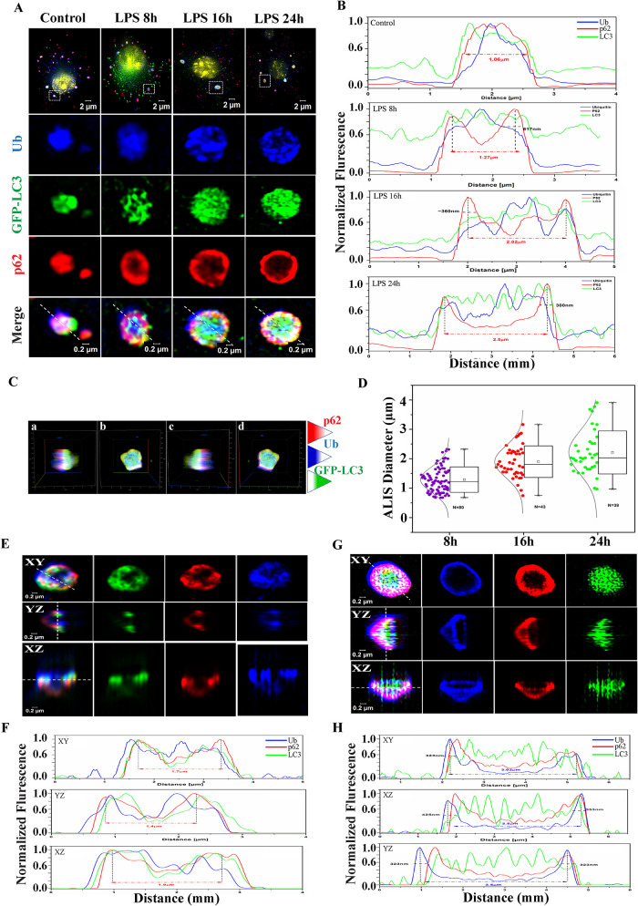 FIGURE 4: