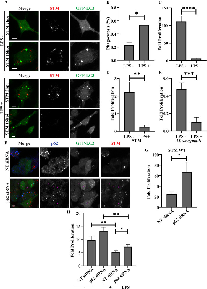 FIGURE 3: