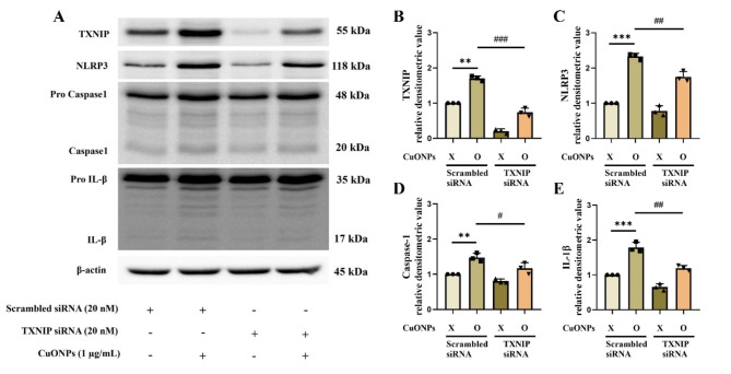 Fig. 4