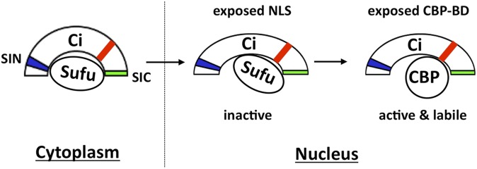 Fig. 6.