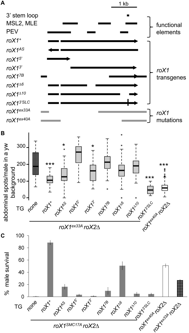 Fig 2