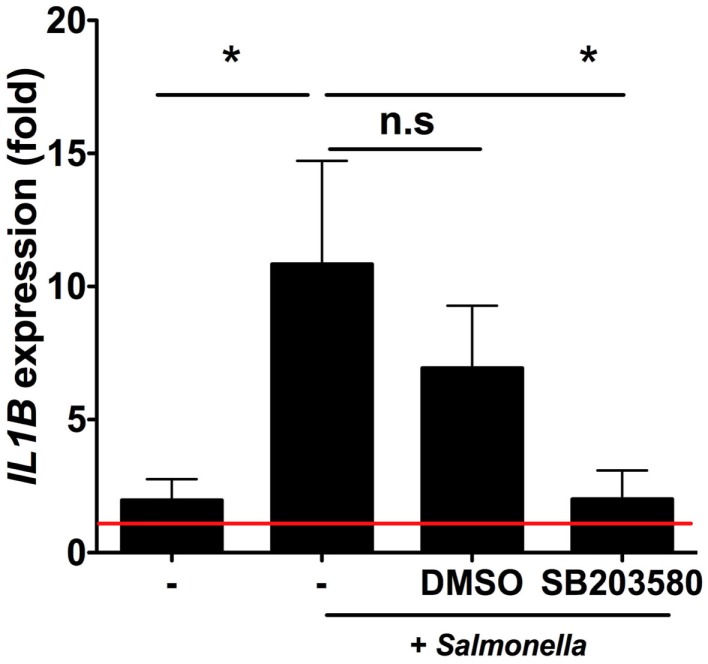 Figure 5