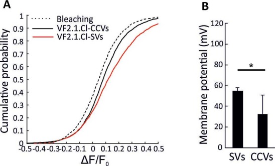 Figure 2—figure supplement 3.