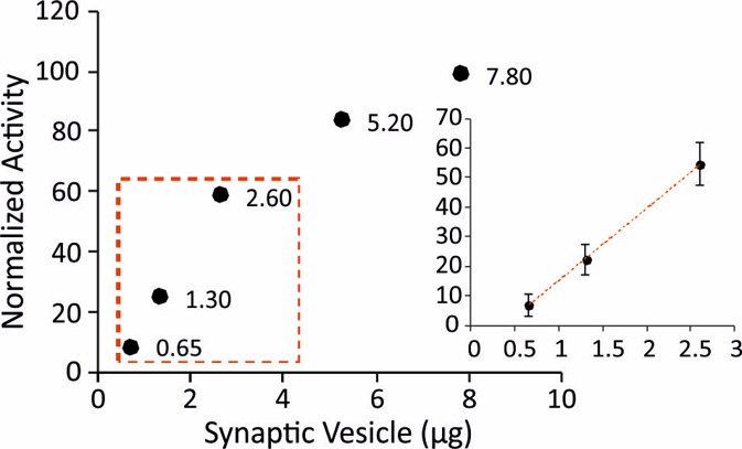 Figure 3—figure supplement 2.