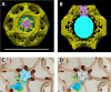 Figure 4—figure supplement 2.