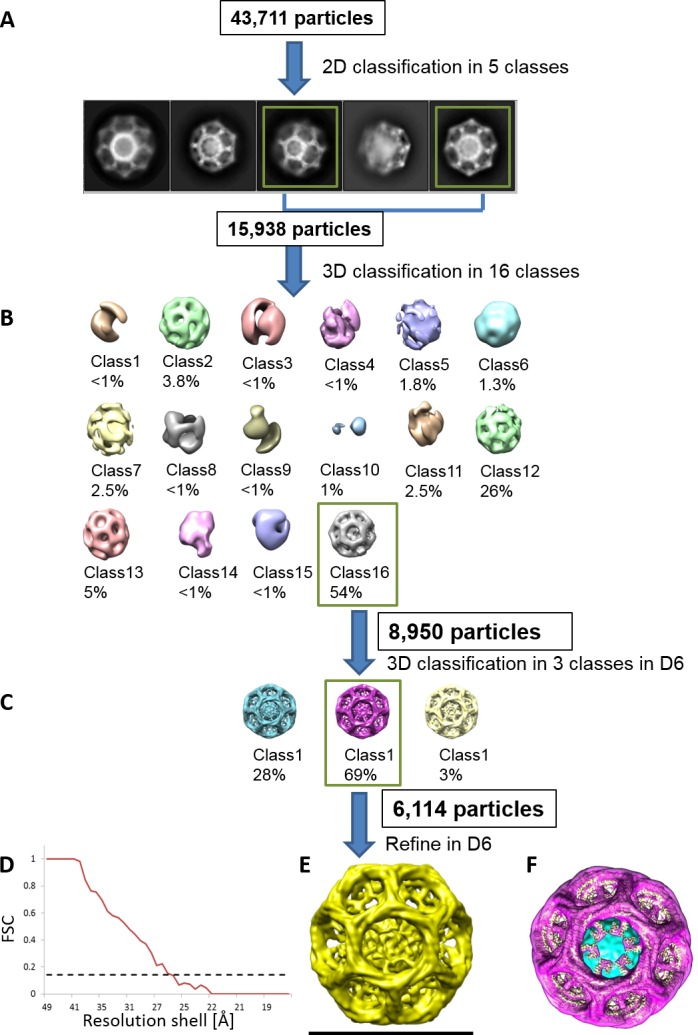 Figure 1—figure supplement 2.