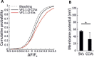 Figure 2—figure supplement 3.