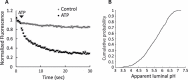 Figure 2—figure supplement 2.