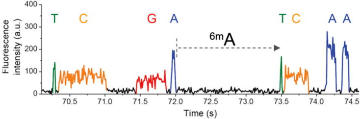 Figure 5