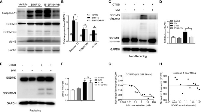 Figure 6