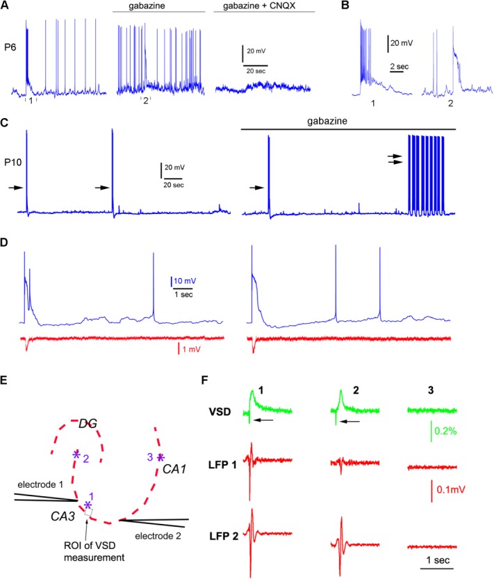 Figure 5