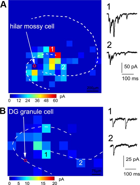 Figure 10