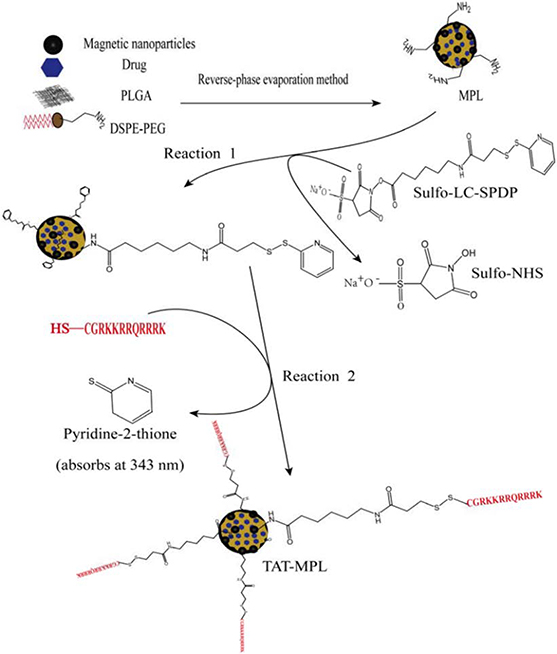 Figure 13.