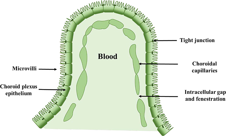 Figure 6.