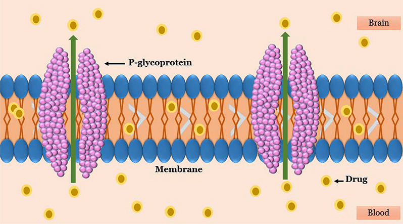 Figure 7.