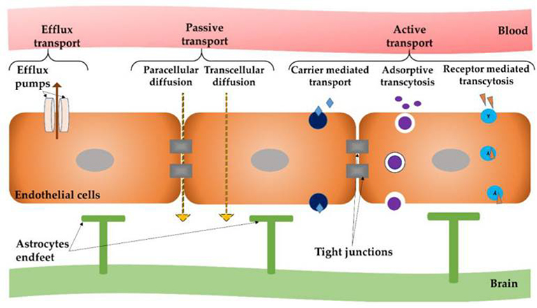 Figure 5.