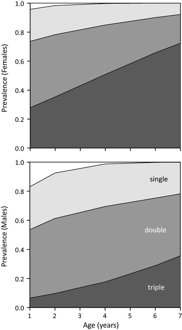 Fig. 5