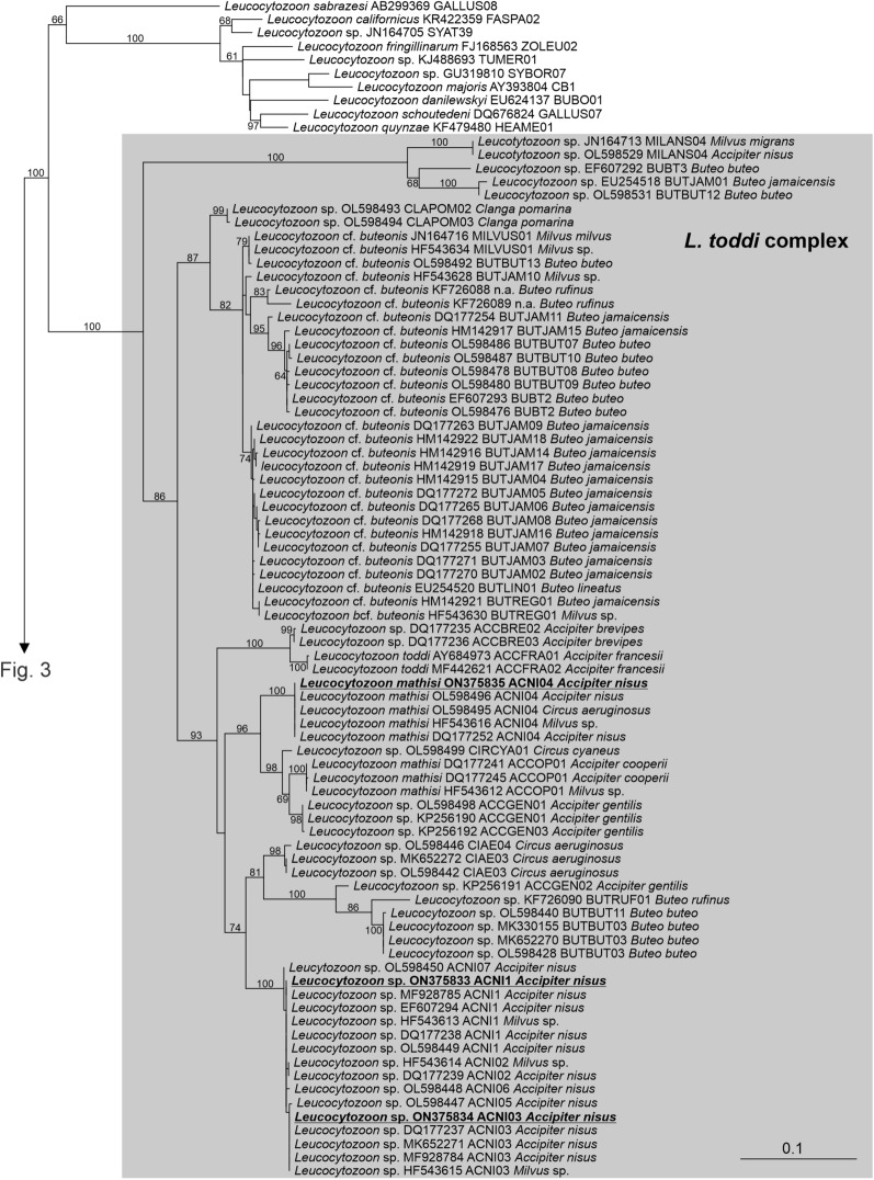 Fig. 2