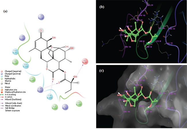 Figure 7ii