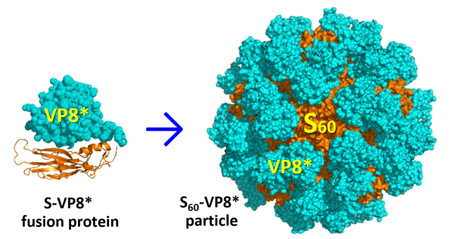 graphic file with name nihms-992711-f0001.jpg