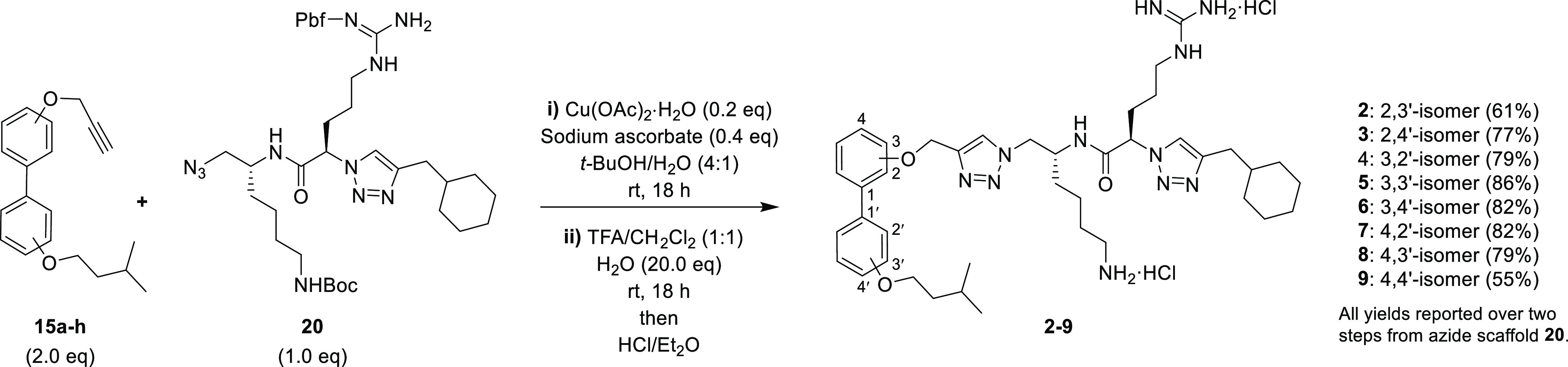 Scheme 5