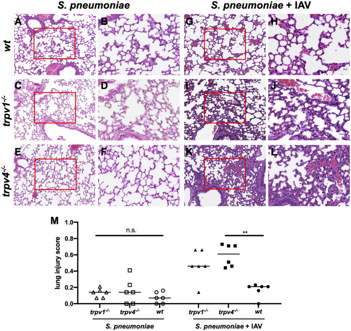 Figure 6