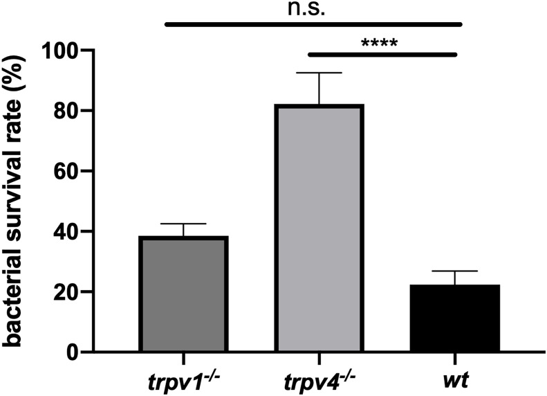 Figure 9