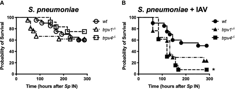 Figure 7