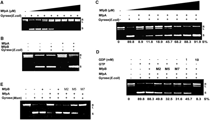 Figure 6.