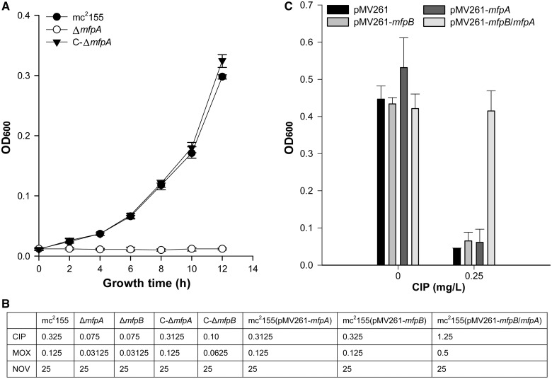 Figure 2.